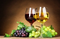 Dodijeljena priznanja najboljim vinarima