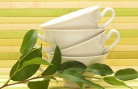 Biljke od kojih se rade čajevi