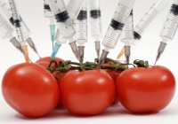 Treba li se GMO hrana proizvoditi u BiH?