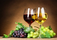 Dodijeljena priznanja najboljim vinarima