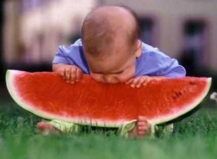 baby-watermelon