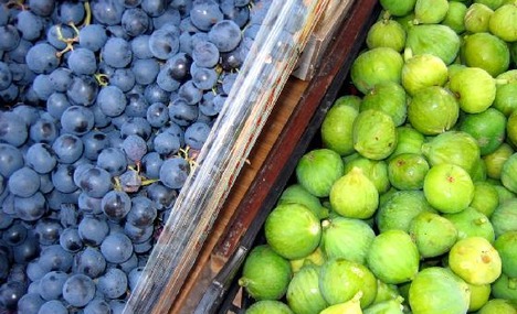 grapes_and_figs